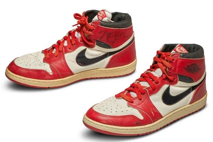 Đôi giày Nike Air Jordan (Nguồn: Internet)