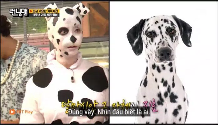 Kết thúc cuộc đua, với việc Ji Hyo đứng cuối cùng, “mợ ngố” sẽ phải hóa trang thành chú chó đốm. (Ảnh: Internet). Kết thúc cuộc đua, với việc Ji Hyo đứng cuối cùng, “mợ ngố” sẽ phải hóa trang thành chú chó đốm. (Ảnh: Internet).