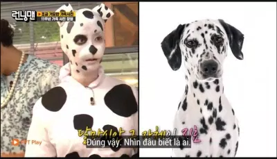Kết thúc cuộc đua, với việc Ji Hyo đứng cuối cùng, “mợ ngố” sẽ phải hóa trang thành chú chó đốm. (Ảnh: Internet). Kết thúc cuộc đua, với việc Ji Hyo đứng cuối cùng, “mợ ngố” sẽ phải hóa trang thành chú chó đốm. (Ảnh: Internet).