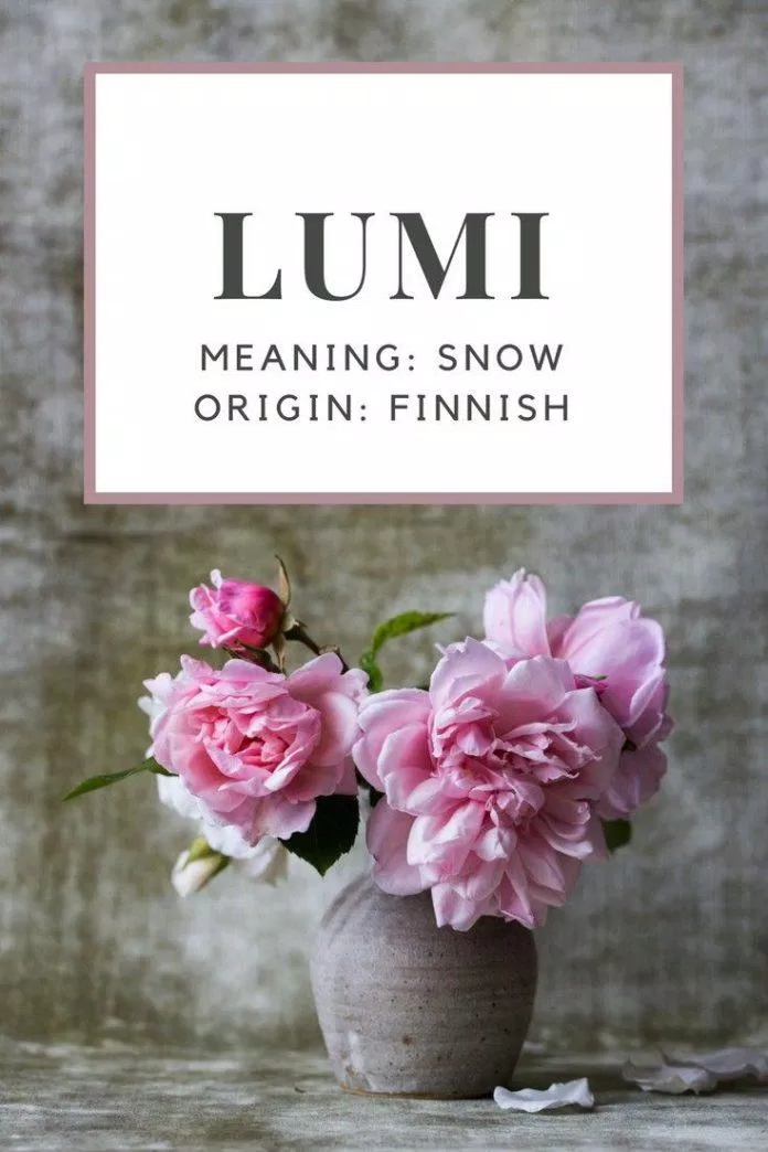 Lumi có nghĩa là tuyết trong tiếng Phần Lan (Ảnh: Internet).