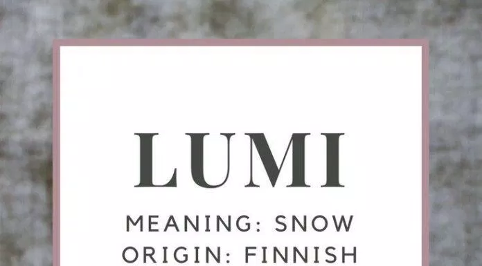 Lumi có nghĩa là tuyết trong tiếng Phần Lan (Ảnh: Internet).