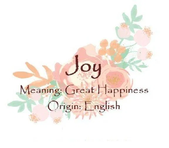 Joy nghĩa là niềm vui (Ảnh: Internet). Joy nghĩa là niềm vui (Ảnh: Internet).