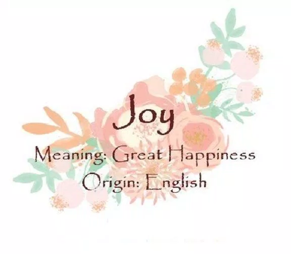 Joy nghĩa là niềm vui (Ảnh: Internet).