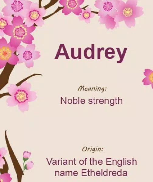 Audrey nghĩa là sức mạnh cao quý (Ảnh: Internet).