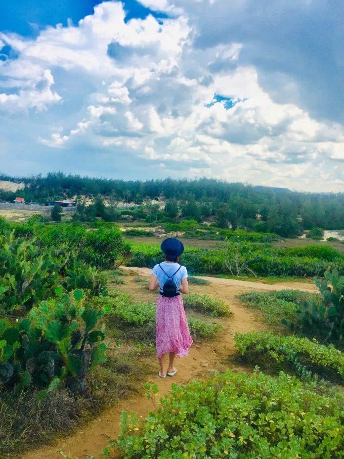 Cao nguyên Bãi Xép (Ảnh: Kim Cúc). Cao nguyên Bãi Xép (Ảnh: Kim Cúc).