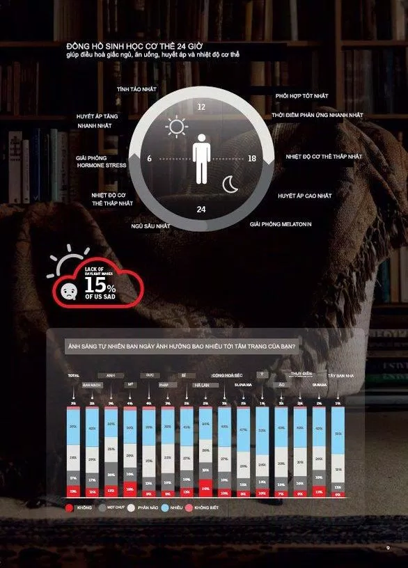 Tác động của ánh sáng và đồng hồ sinh học đối với cơ thể (Ảnh: Internet).