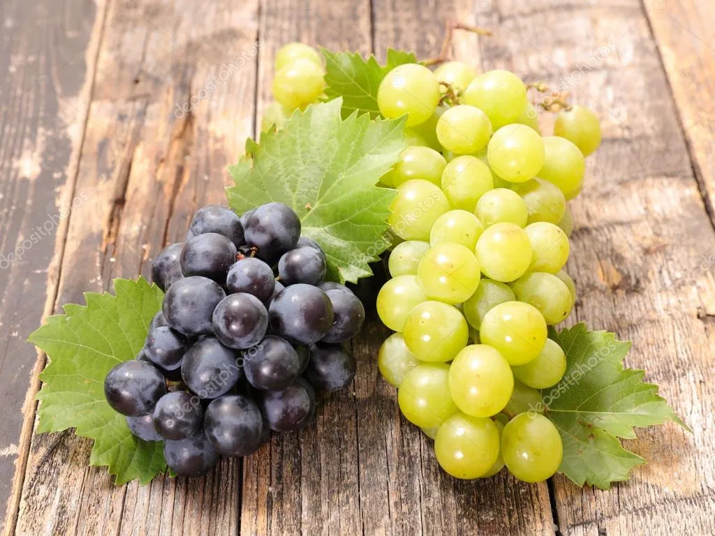 Nho có tác dụng bảo vệ làn da khỏi ánh sáng (Ảnh: Internet). Nho có tác dụng bảo vệ làn da khỏi ánh sáng (Ảnh: Internet).