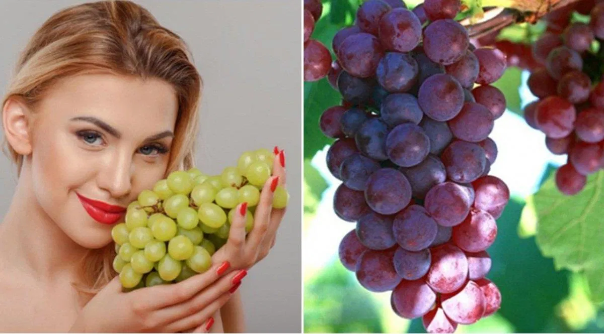 Hãy ăn nho thường xuyên để có làn da khỏe đẹp (Ảnh: Internet). Hãy ăn nho thường xuyên để có làn da khỏe đẹp (Ảnh: Internet).