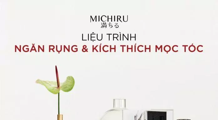 Michiru là một thương hiệu nội địa Nhật chuyên về chăm sóc tóc (Nguồn: Internet).