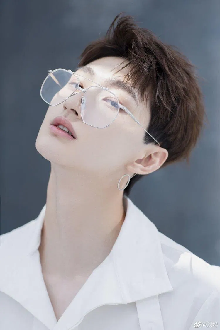 Cận cảnh visual xịn xò của Lưu tổng (Ảnh: Internet)