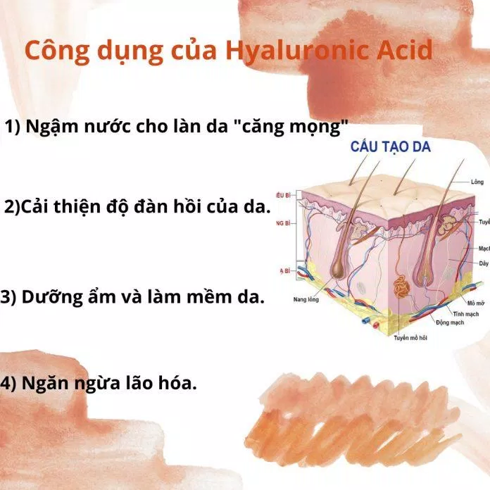 Công dụng của Hyaluronic Acid đối với da ( Nguồn: BlogAnChoi(