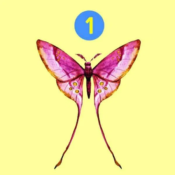 Trắc nghiệm tính cách qua hình vẽ bươm bướm. (Ảnh: Internet)