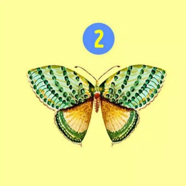 Bài kiểm tra tính cách bướm.  (Ảnh: Internet)