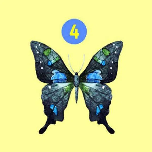 Trắc nghiệm tính cách qua hình vẽ bươm bướm. (Ảnh: Internet)