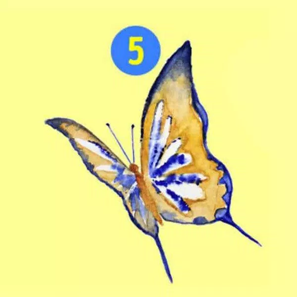 Bài kiểm tra tính cách bướm.  (Ảnh: Internet)