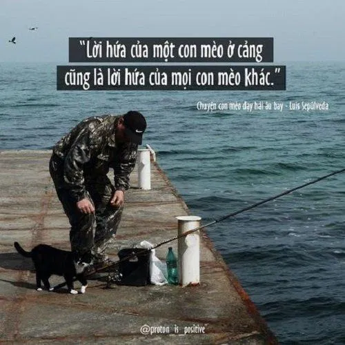 trích dẫn trong Chuyện con mèo dạy hải âu bay ( Nguồn ảnh: pinterest)