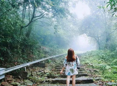Khám phá thiên nhiên kỳ thú tại vườn quốc gia Tam Đảo (Ảnh: Internert)
