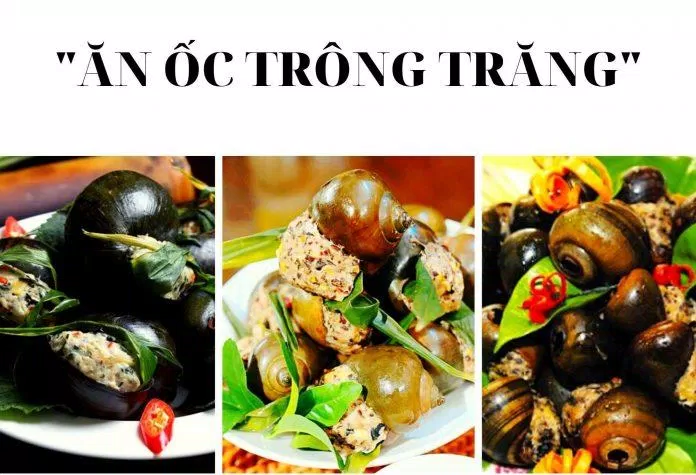 Ăn ốc trông trăng. (Nguồn: Internet) Ăn ốc trông trăng. (Nguồn: Internet)