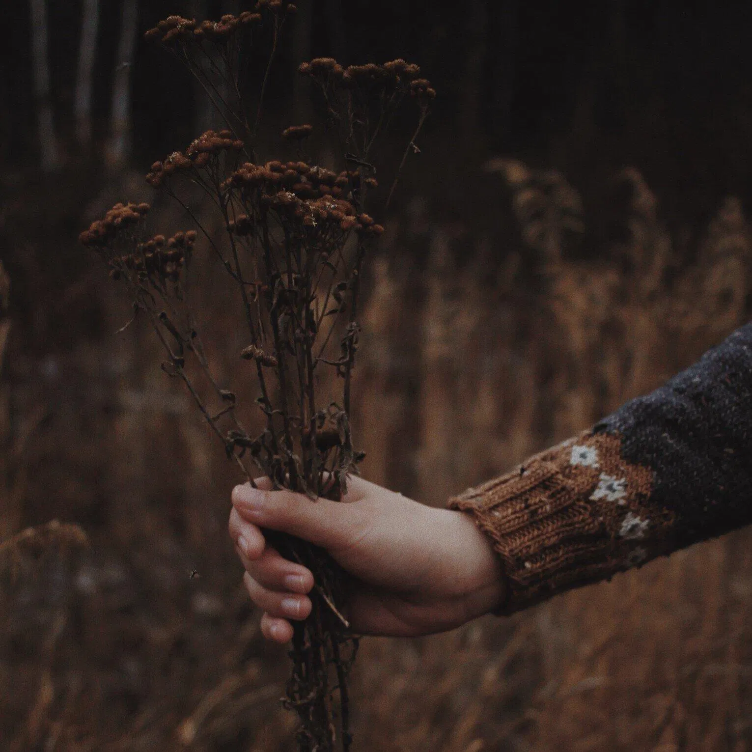 Sẽ thật khó để từ chối một tấm chân tình (Ảnh: Internet).