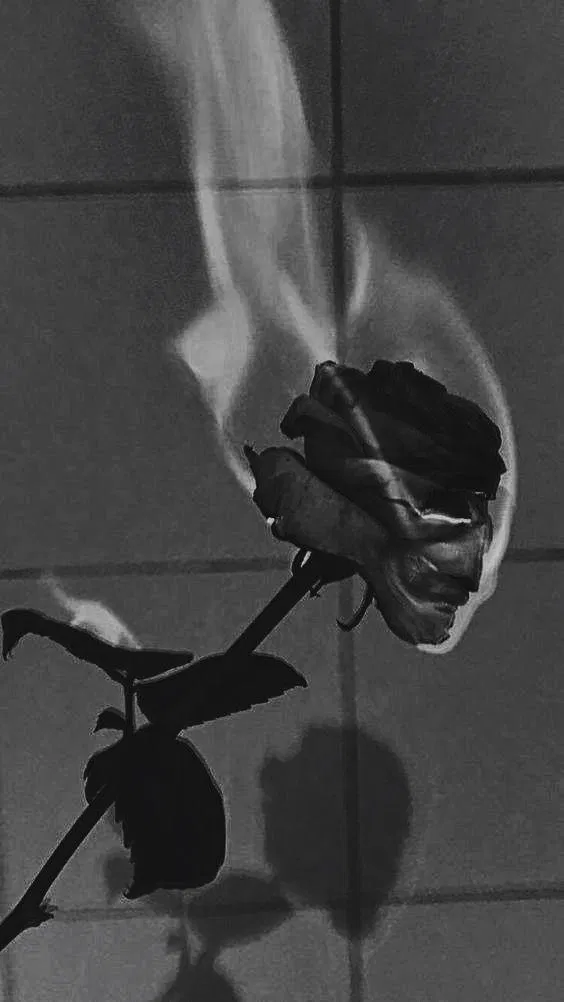 Phải từ chối thế nào để ít gây tổn thương cho nhau (Ảnh: Internet). Phải từ chối thế nào để ít gây tổn thương cho nhau (Ảnh: Internet).