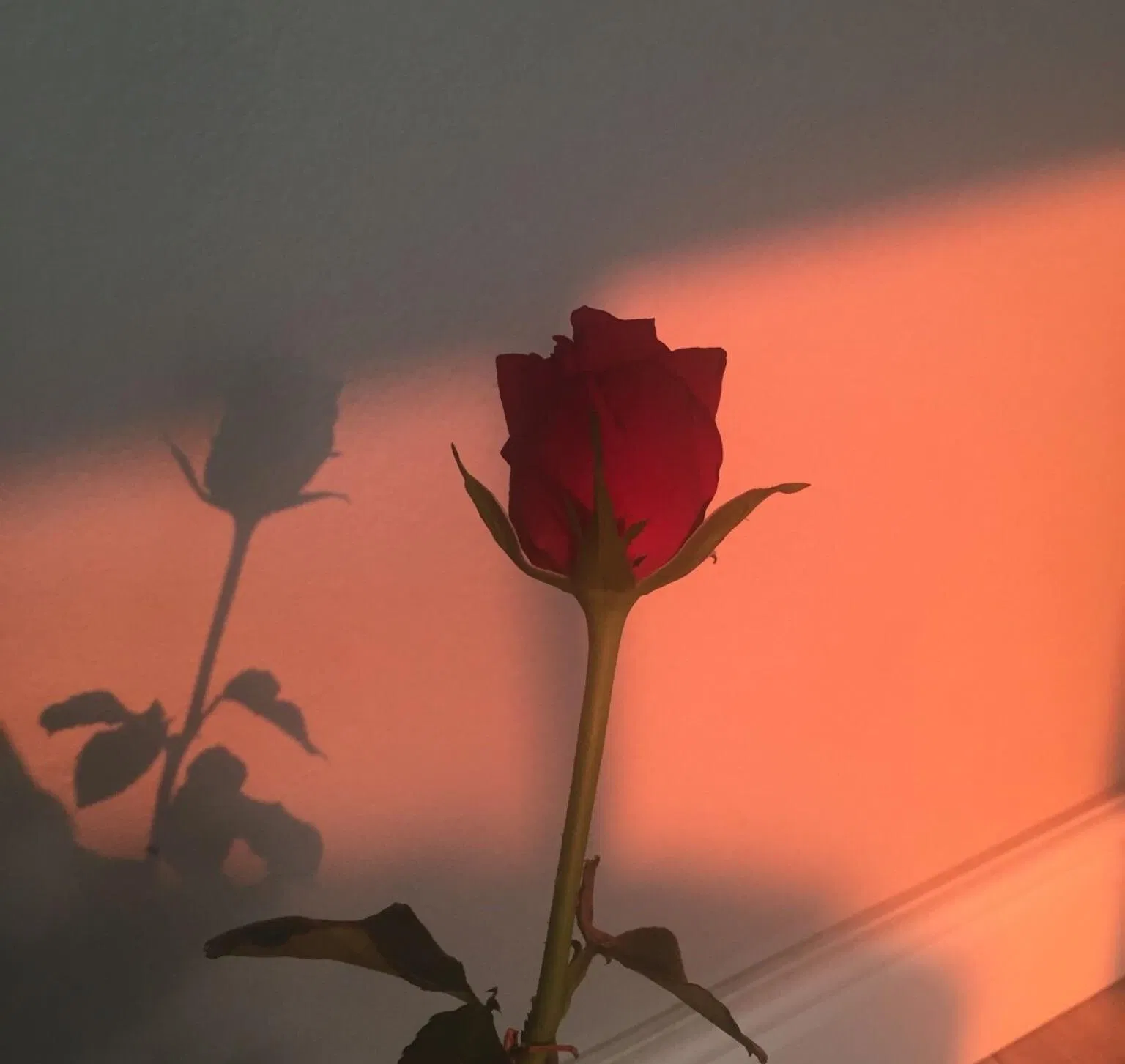 Hãy đối xử với người khác theo cách bạn muốn được đối xử (Ảnh: Internet). Hãy đối xử với người khác theo cách bạn muốn được đối xử (Ảnh: Internet).