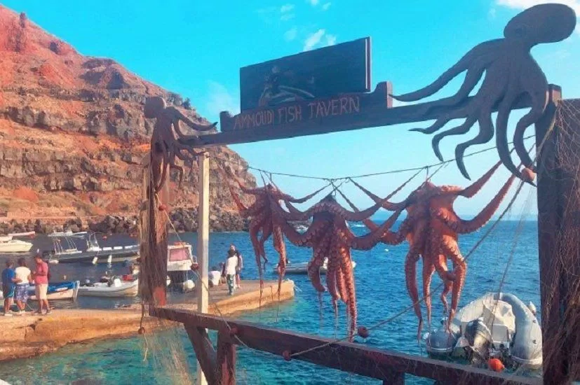 Hy Lạp là thiên đường của những chuyên gia về món bạch tuộc (Ảnh: Internet). Hy Lạp là thiên đường của những chuyên gia về món bạch tuộc (Ảnh: Internet).