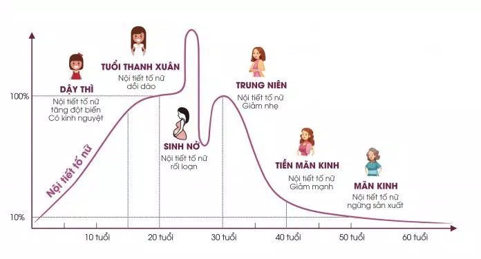 Sơ đồ tuổi tiền mãn kinh ở phụ nữ (Ảnh: Internet). Sơ đồ tuổi tiền mãn kinh ở phụ nữ (Ảnh: Internet).