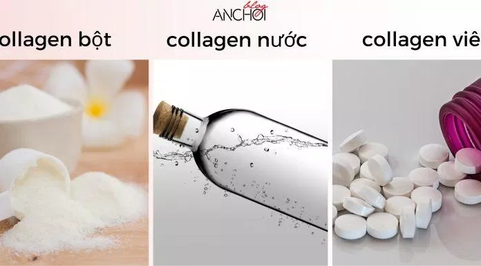 Các dạng Collagen được các tín đồ làm đẹp dùng nhiều nhất hiện nay ( Nguồn: BlogAnChoi)