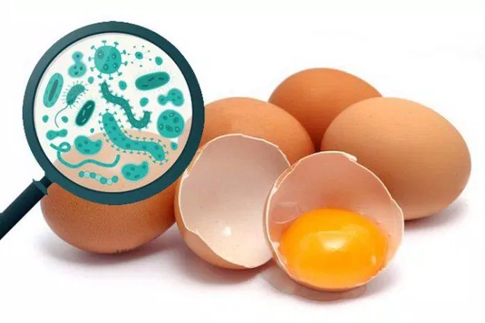 Trứng sống có thể chứa vi khuẩn gây bệnh (Ảnh: Internet).