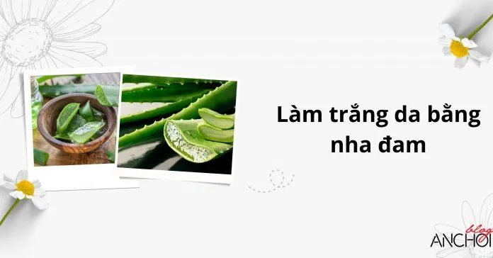 Làm trắng da mặt với công thức từ nha đam ( Nguồn: BlogAnChoi)