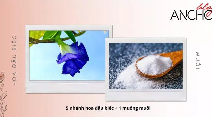 Trị mụn bằng hoa đậu biếc kết hợp cùng với muối ( Nguồn: BlogAnChoi)