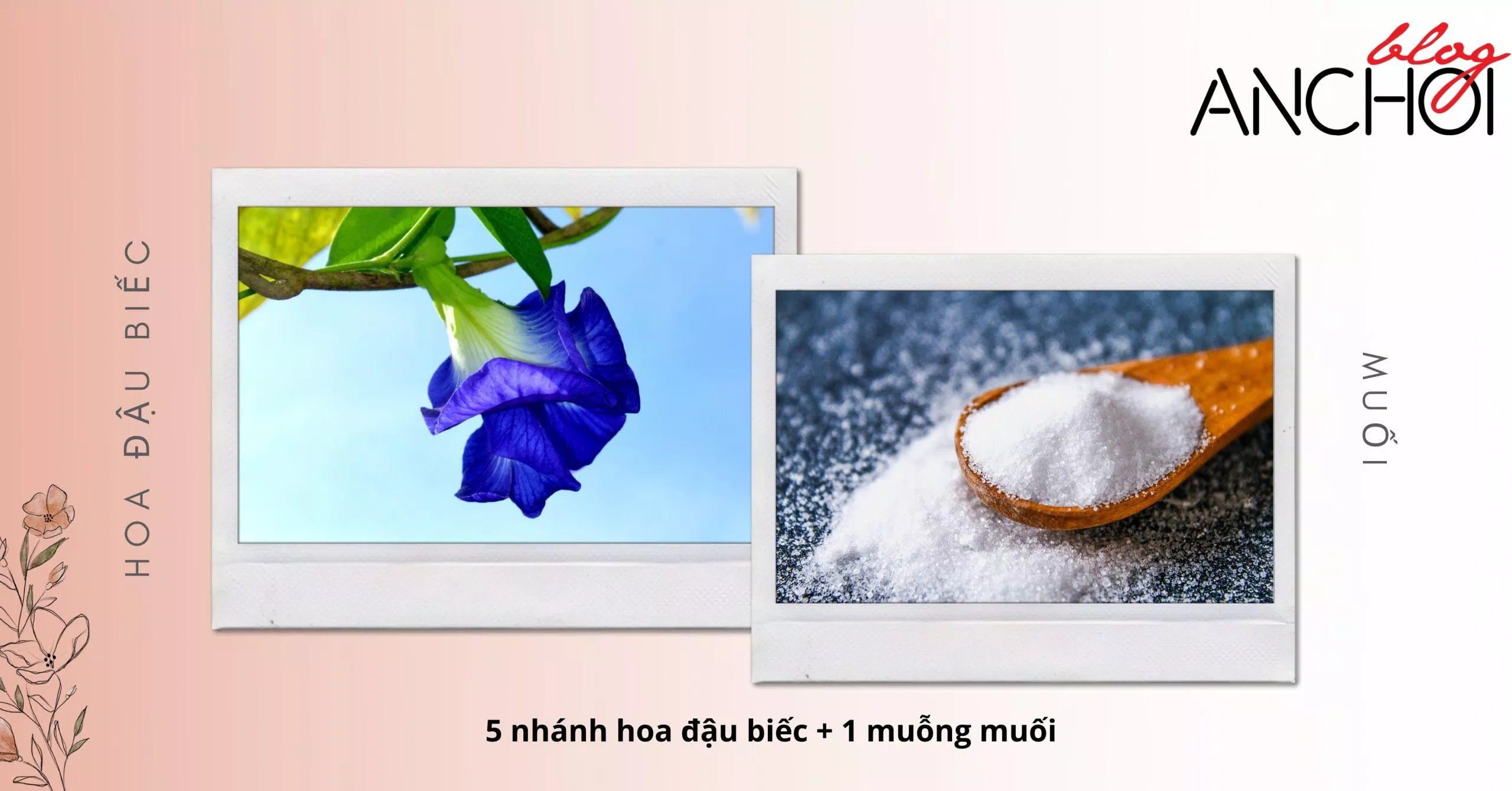 Trị mụn bằng hoa đậu biếc kết hợp cùng với muối ( Nguồn: BlogAnChoi)