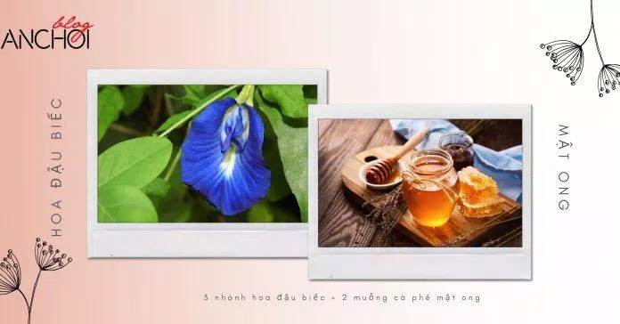 Kết hợp hoa đậu biếc cùng mật ong tăng khả năng dưỡng sáng da ( Nguồn: BlogAnChoi)