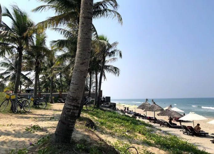 Hàng dừa tại biển Cửa Đại. (Ảnh: Internet) Hàng dừa tại biển Cửa Đại. (Ảnh: Internet)