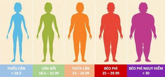 Thang đo BMI dành riêng cho người châu Á (Ảnh: Internet).