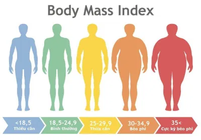 Phân loại BMI theo WHO (Ảnh: Internet). Phân loại BMI theo WHO (Ảnh: Internet).