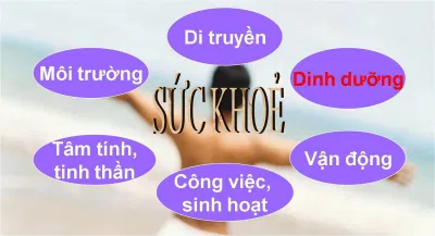 Có rất nhiều yếu tố ảnh hưởng đến sức khỏe (Ảnh: Internet). Có rất nhiều yếu tố ảnh hưởng đến sức khỏe (Ảnh: Internet).