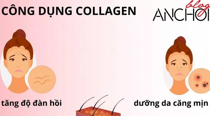 Các công dụng của collagen nước đối với da ( Nguồn: BlogAnChoi)
