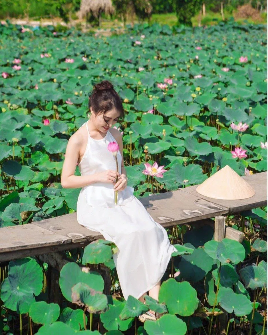 Đầm sen Tam Đa sẽ cho bạn những bức ảnh cực chất (Ảnh: Internet). Đầm sen Tam Đa sẽ cho bạn những bức ảnh cực chất (Ảnh: Internet).