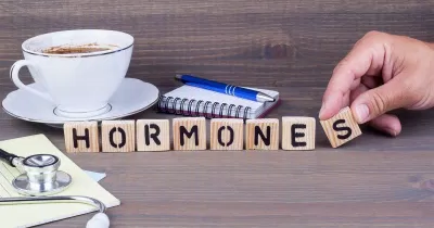 Hầu như tất cả các hormone đều liên quan với giấc ngủ (Ảnh: Internet). Hầu như tất cả các hormone đều liên quan với giấc ngủ (Ảnh: Internet).