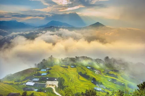 ban phung hoang su phi