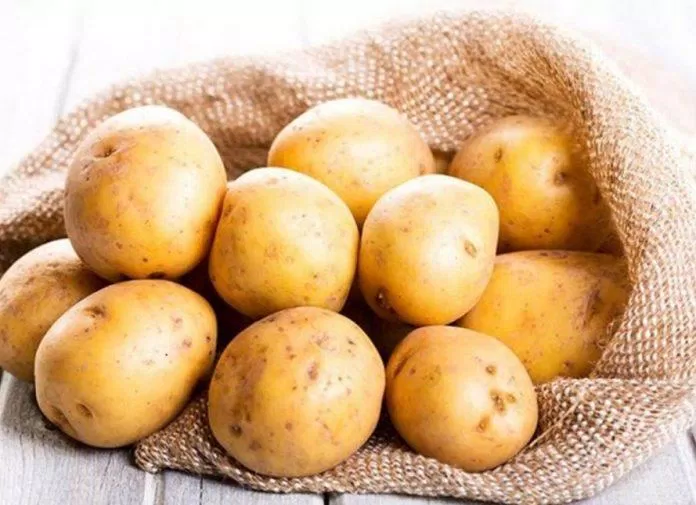 Củ khoai tây tươi chứa rất nhiều chất dinh dưỡng và chế biến được nhiều món ăn (Ảnh: Internet).