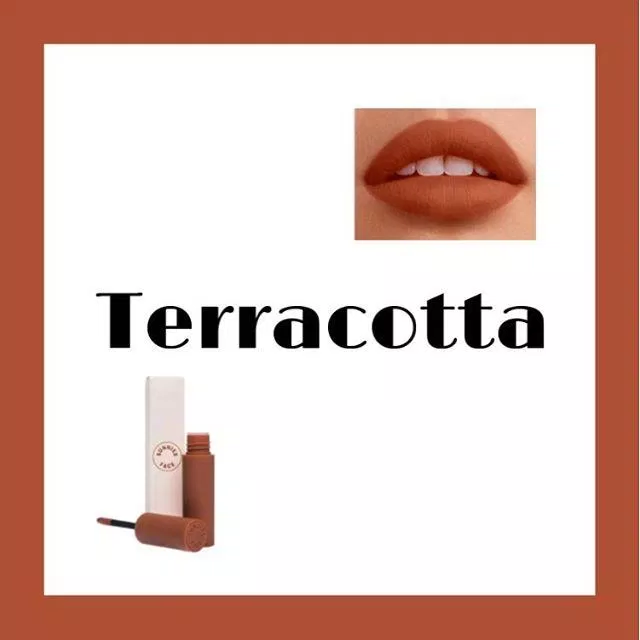 Teracotta - cam đất có hint vàng hợp với mọi loại tone da Châu Á (Nguồn: Internet)