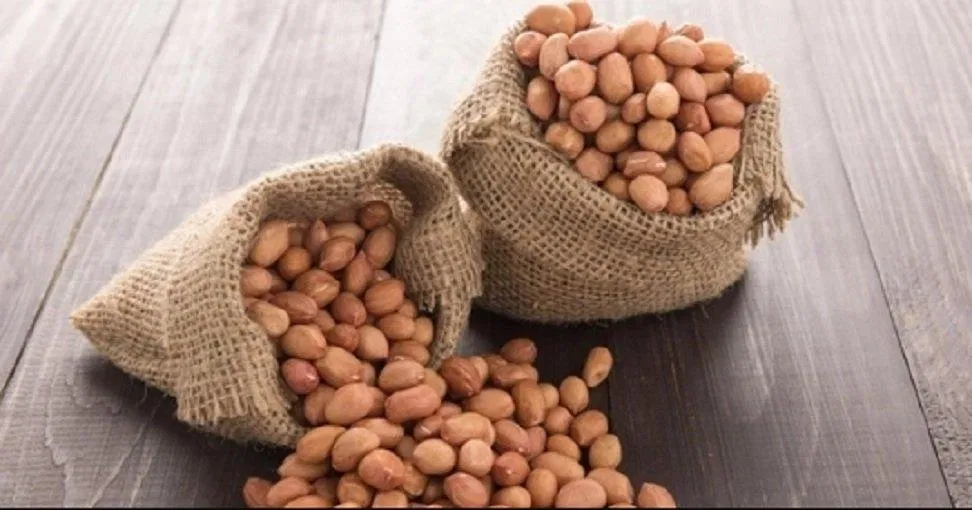 Củ lạc (đậu phộng) có rất nhiều giá trị dinh dưỡng tốt cho sức khỏe (Ảnh: Internet). Củ lạc (đậu phộng) có rất nhiều giá trị dinh dưỡng tốt cho sức khỏe (Ảnh: Internet).