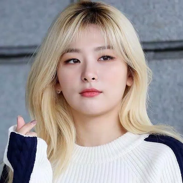 Seulgi Red Velvet (Ảnh: Internet)