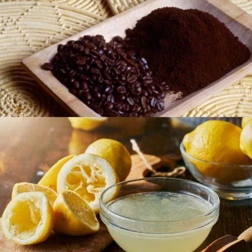 Bã cà phê kết hợp nước cốt chanh