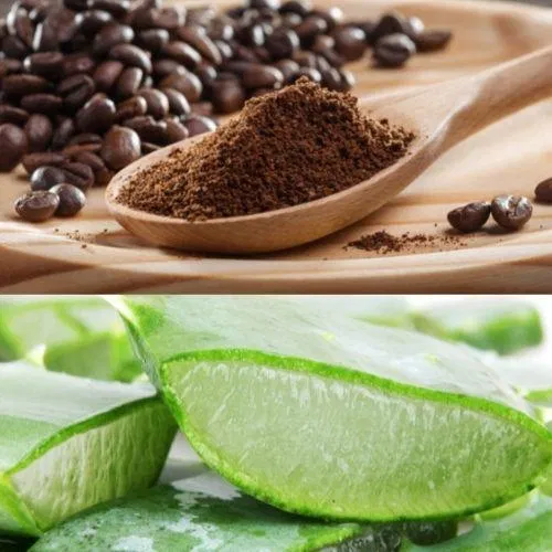 Bã cà phê có tác dụng gì trong quá trình làm đẹp da? bã cà phê bã cà phê làm mờ rạn da bã cà phê trị mụn cà phê cà phê xóa thâm mắt cách làm cơ thể công dụng của bã cà phê Da mặt dưỡng da đắp mặt bằng bã cà phê đẹp da làm đẹp làm đẹp bằng cà phê làm đẹp da làm đẹp da từ cà phê làm sáng da lưu ý khi dùng bã cà phê mặt nạ mặt nạ cà phê mặt nạ dưỡng da mật ong nha đam nước cốt chanh quầng thâm mắt rạn da sáng da sữa chua tác dụng tẩy tế bào chết tế bào chết thành phần thành phần cà phê tinh dầu trị mụn