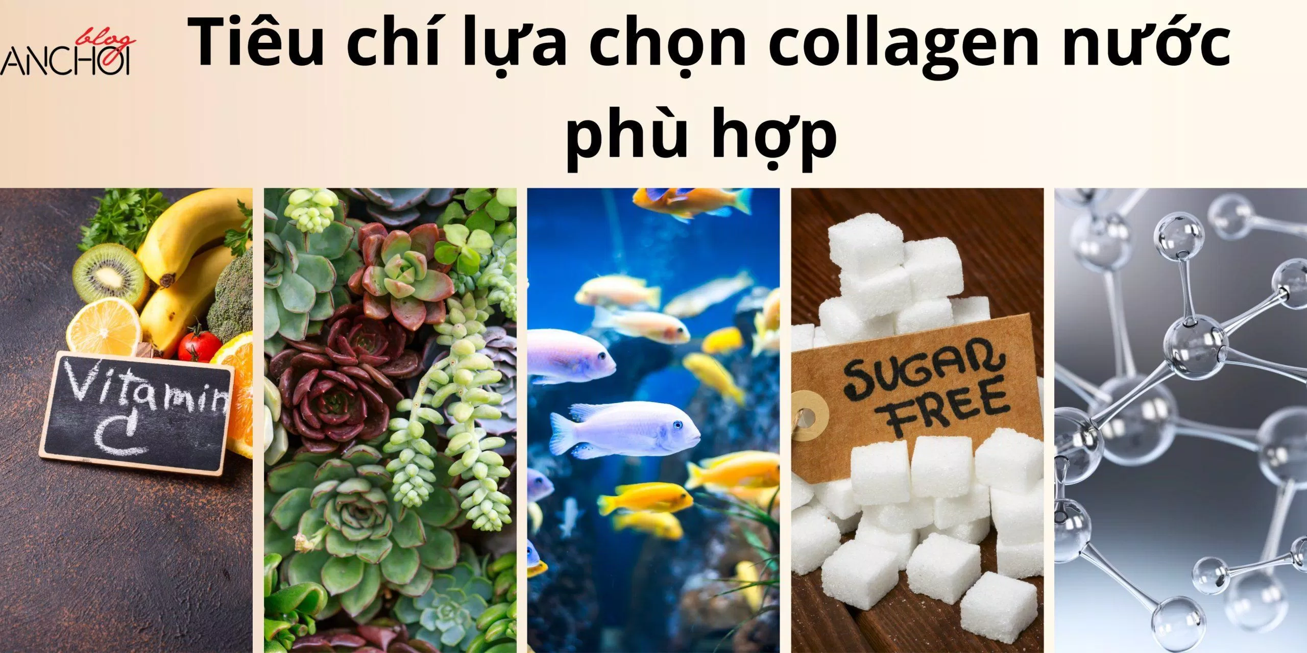 Chọn lựa collagen có chiết sự kết hợp vitamin C để cảm nhận kết quả rõ hơn trên da ( Nguồn: BlogAnChoi)