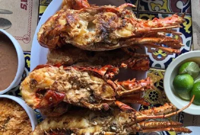 Tôm hùm tại Puerto Nuevo rất tươi ngon, to và chắc thịt (Ảnh: Internet). Tôm hùm tại Puerto Nuevo rất tươi ngon, to và chắc thịt (Ảnh: Internet).