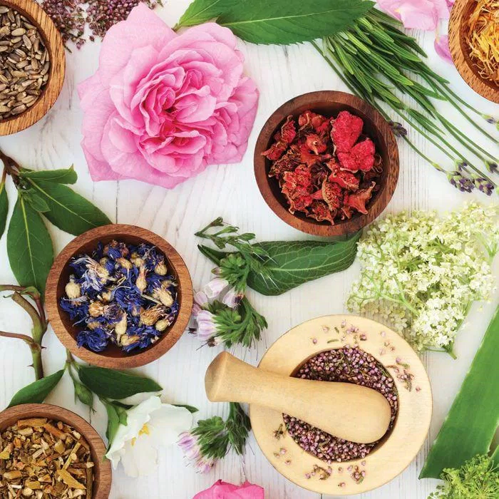 Sử dụng các sản phẩm có nguồn gốc thực vật vừa hiệu quả mà lại an toàn (Nguồn: Internet) Sử dụng các sản phẩm có nguồn gốc thực vật vừa hiệu quả mà lại an toàn (Nguồn: Internet)